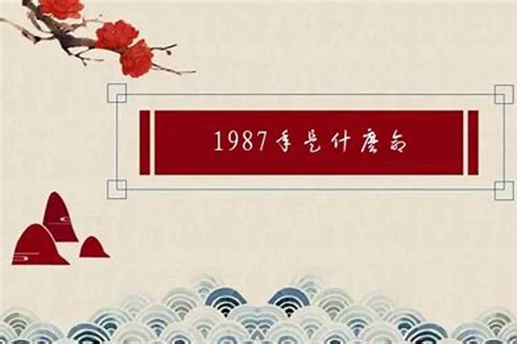 1987年出生哪一年是本命年