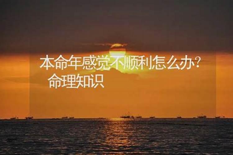 本命年太不顺利了