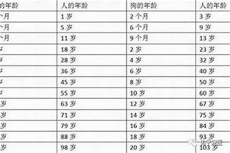 本命年是怎样算的