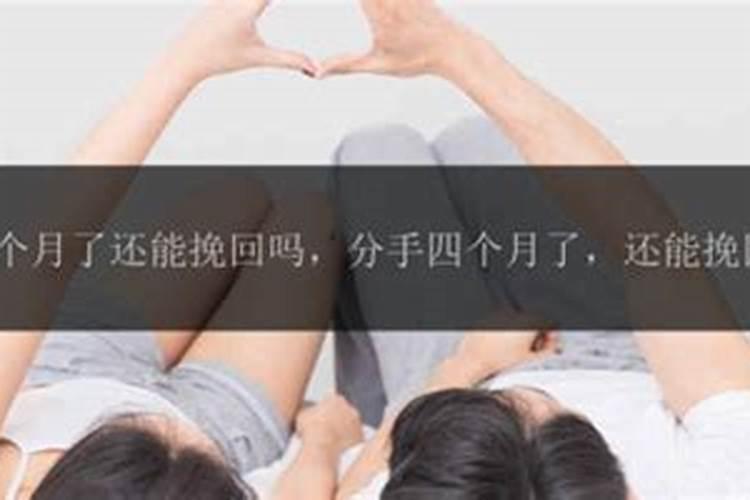 生肖马和生肖兔合不合