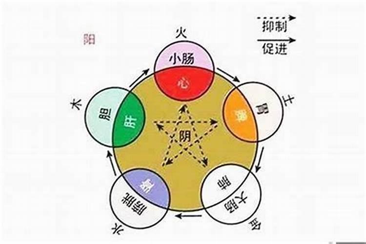 2021年犯太岁是