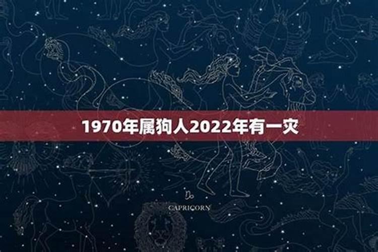 狗在虎年2022的运气如何