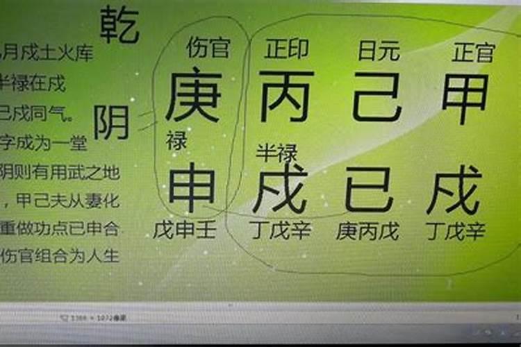 八字巳申合什么工作