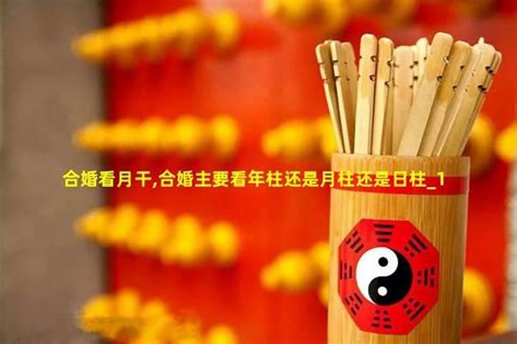 合婚算的是日主天干吗