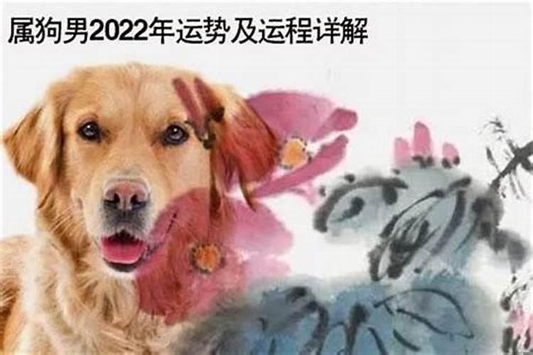 2023年犯太岁的生肖表