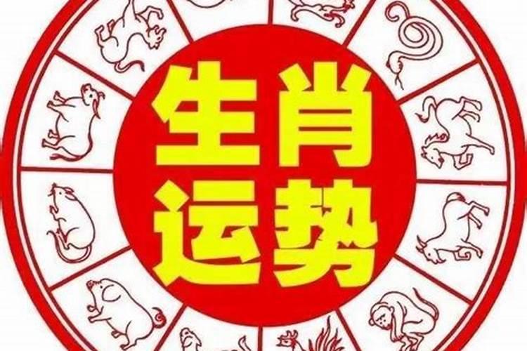 2021年6月23号小运播报各生肖运势