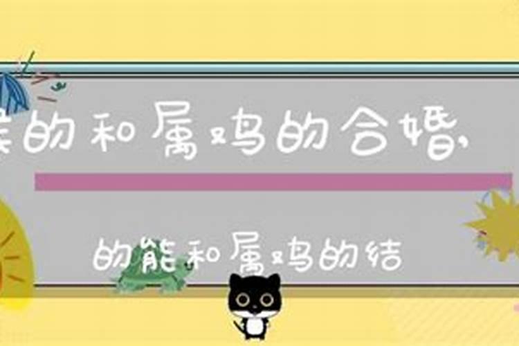 猴和狗的八字合吗