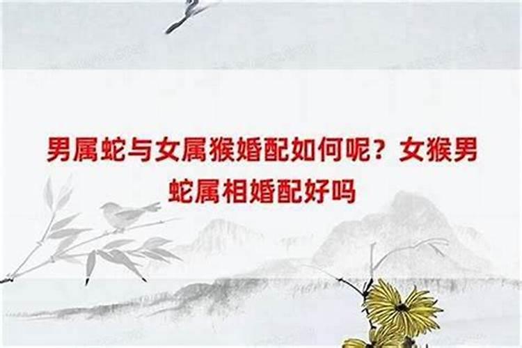 八字测测你未来对象姓什么