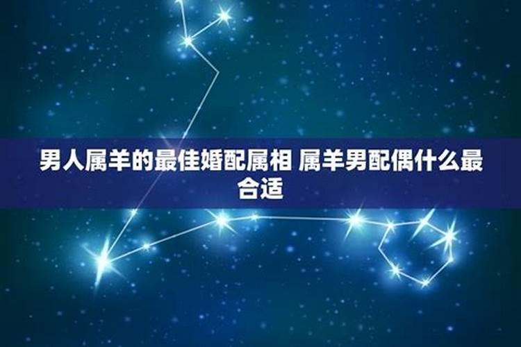 属羊的男孩最佳婚配属相属牛的今年多大