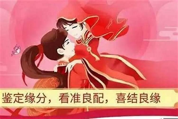 狗女和虎男合不合