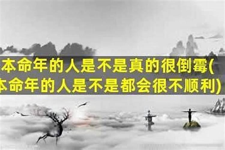 属虎的人什么年份犯太岁