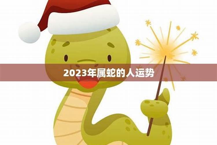 2024年属虎的是什么命