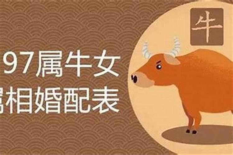 怎么算八字财运