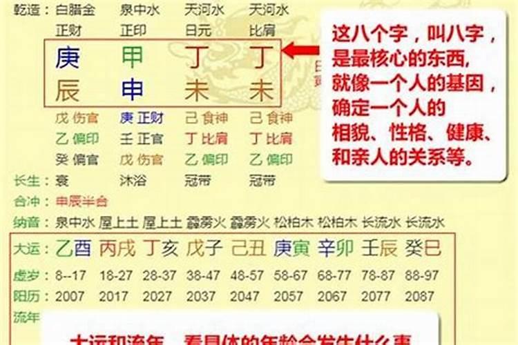 男人八字伤官是什么意思