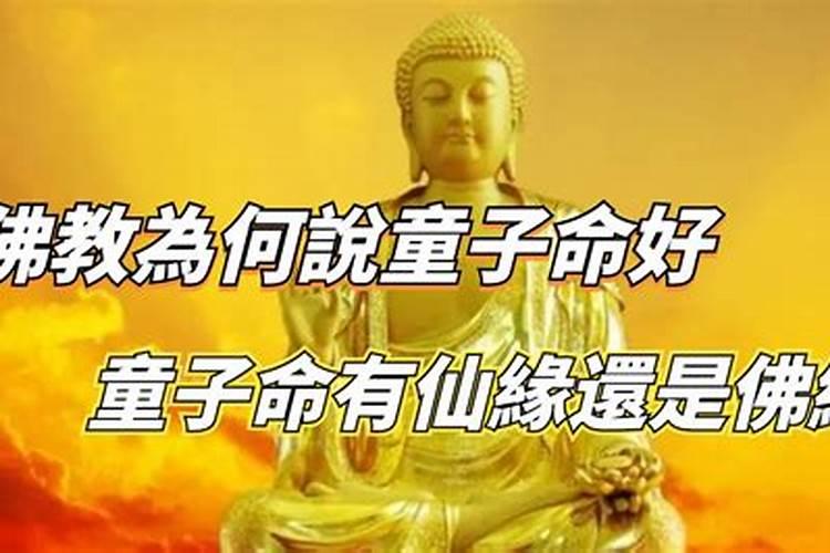 今年是我本命年,为什么今年财运不顺