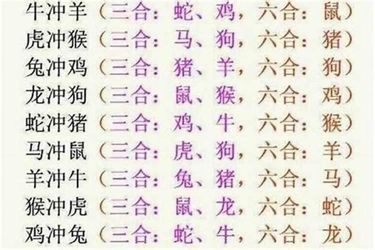 属马的和属羊的八字合吗