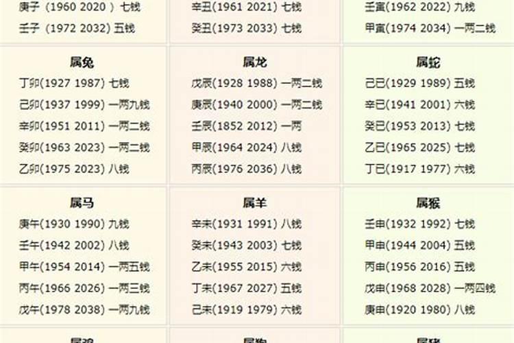 本命年属虎2022