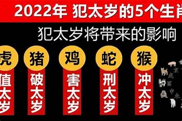 属蛇今年犯太岁吗2022岁