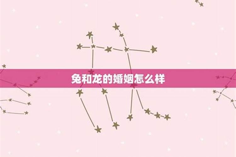 老公属兔老婆属龙合婚吗