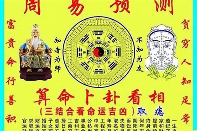 马跟兔属相合不合