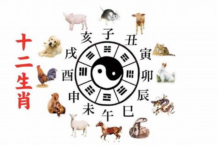 犯小人的卦象是什么卦象