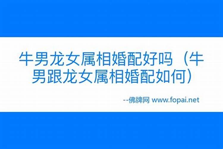 八字合婚指数怎么样算出来的