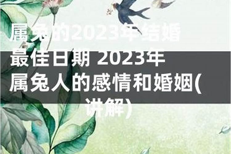 2023年属兔姻缘在哪年最旺盛