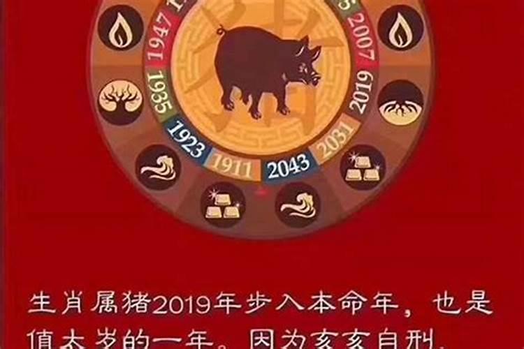 今年是什么本命年2021