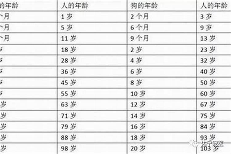 今年本命年是多大了年龄是多大的