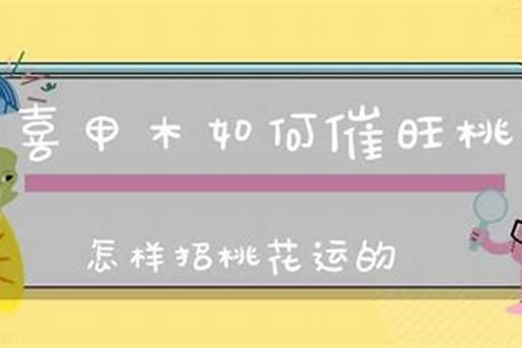 2020年太岁符应该放在哪里