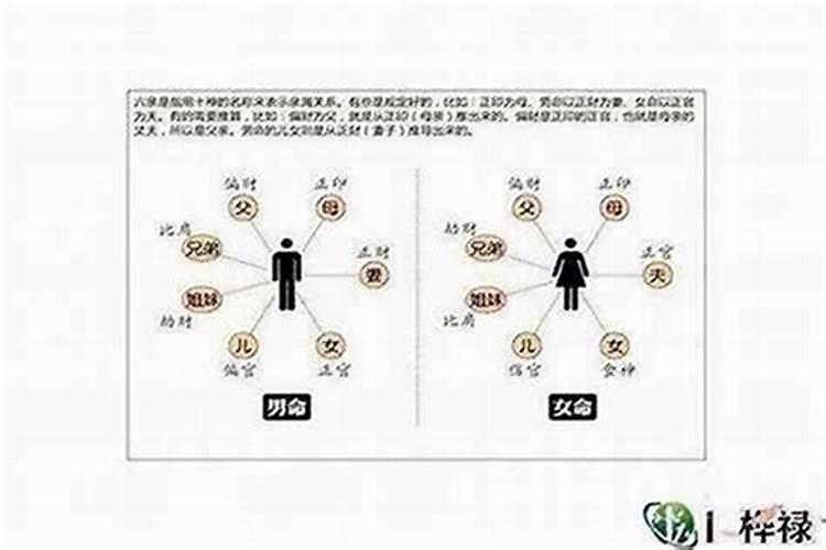 属羊的人和属鸡的人能在一起吗