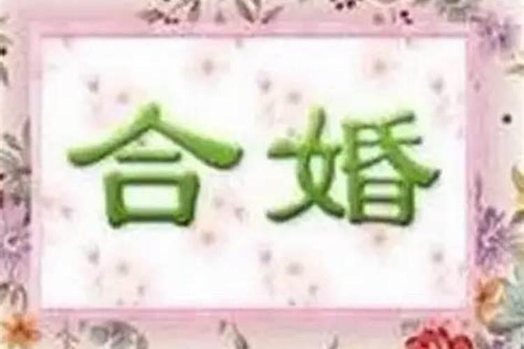 八字合婚如何看