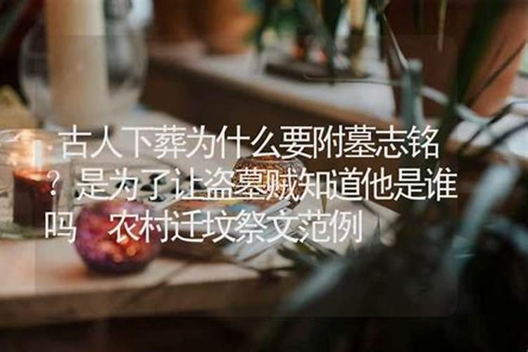 辛卯和甲戌合不合