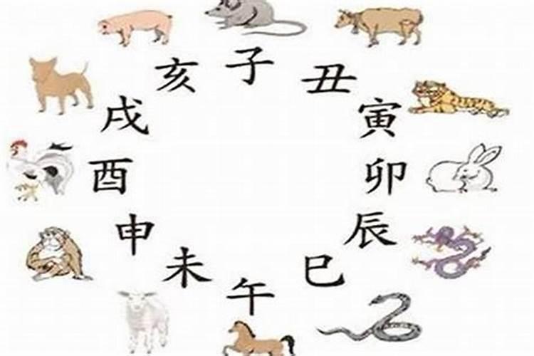 虎和蛇合八字怎样算