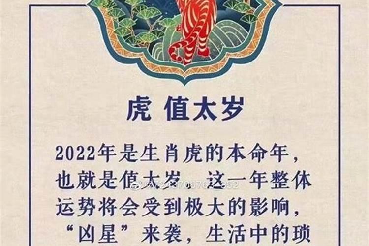 2022年属虎怎样躲太岁