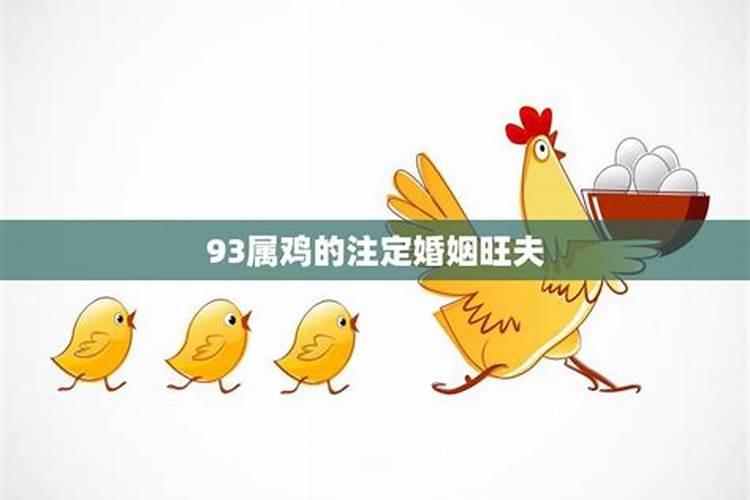 属鸡今年感情婚姻如何