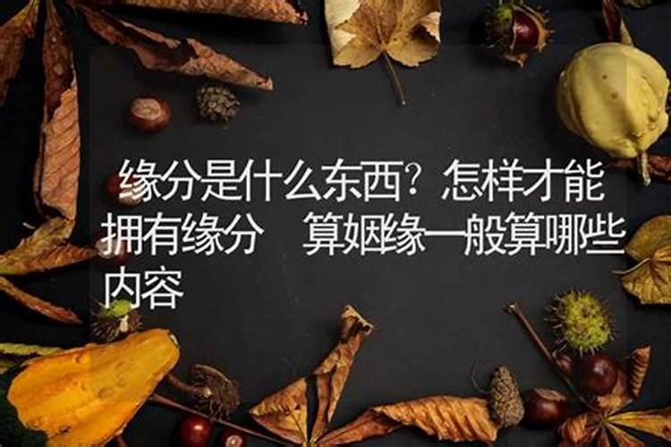 算姻缘包括什么