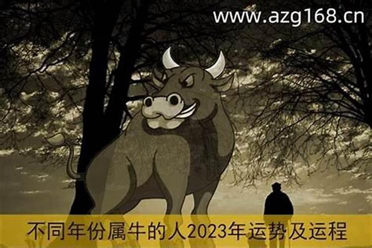 2022本命年运势男