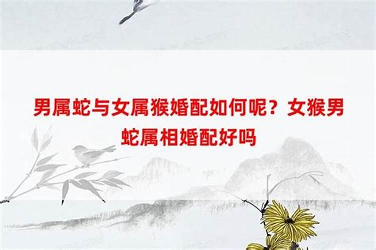 无礼合婚是什么意思呀