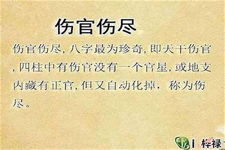 八字劫财多的男命走财运好吗