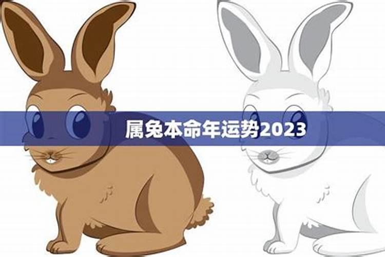 2023年属兔本命年幸运色