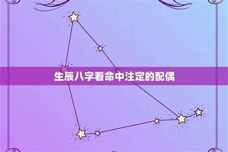 1999年属兔太岁是谁