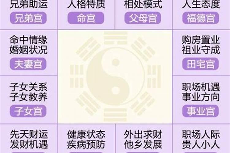 紫微斗数八字合婚