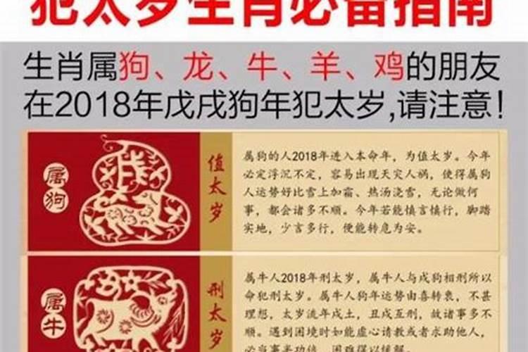 2020属猴犯太岁佩戴什么