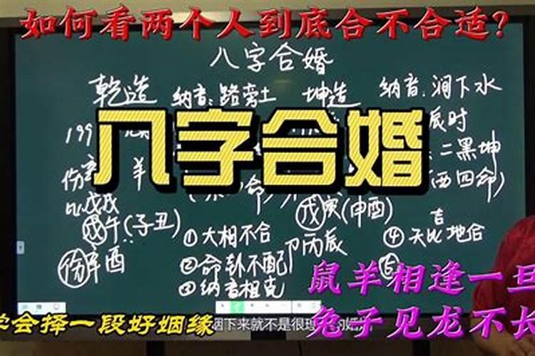 怎么查俩人八字合不合友情