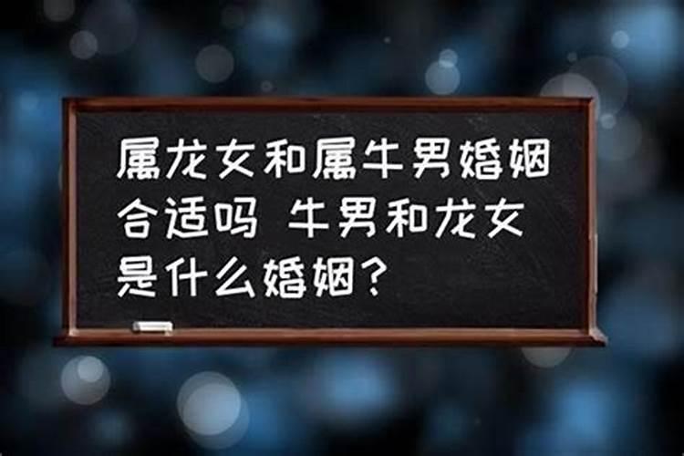 女龙男龙婚姻测算