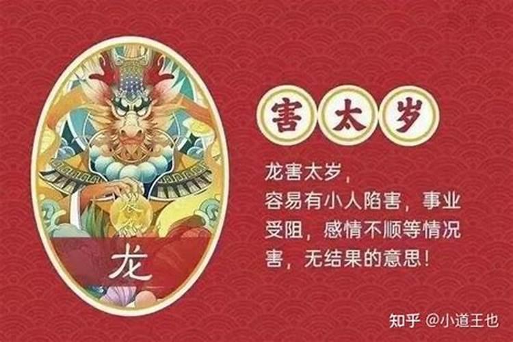 属龙的犯太岁怎么办