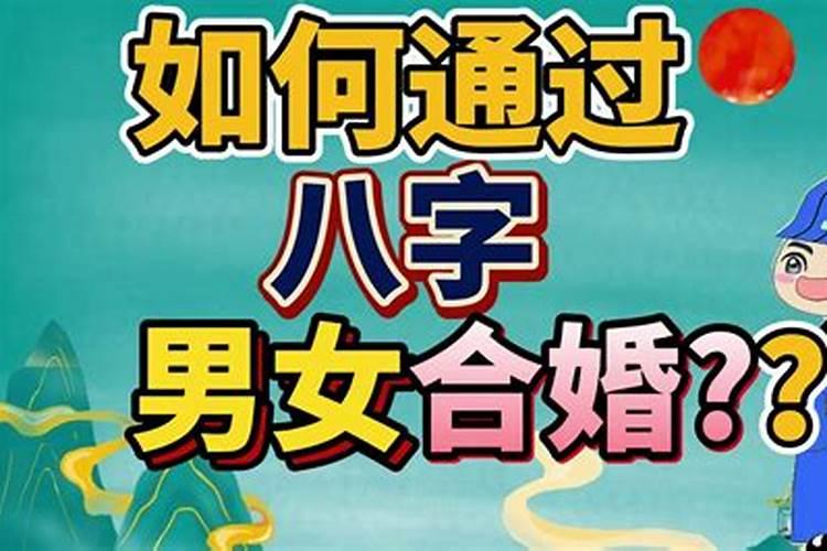 测生辰八字网站