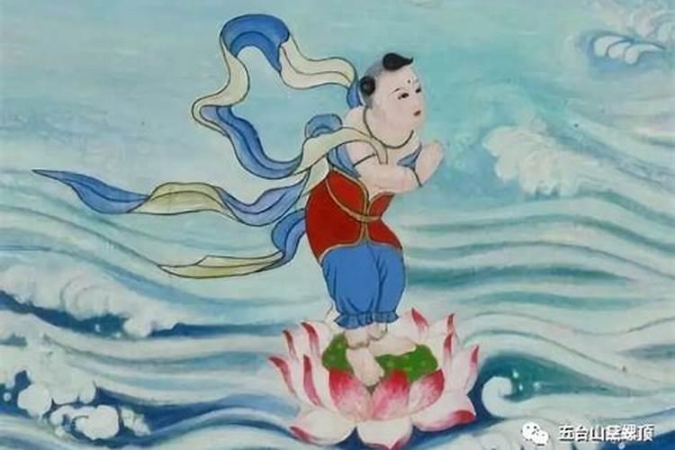 店门口种什么花对风水好