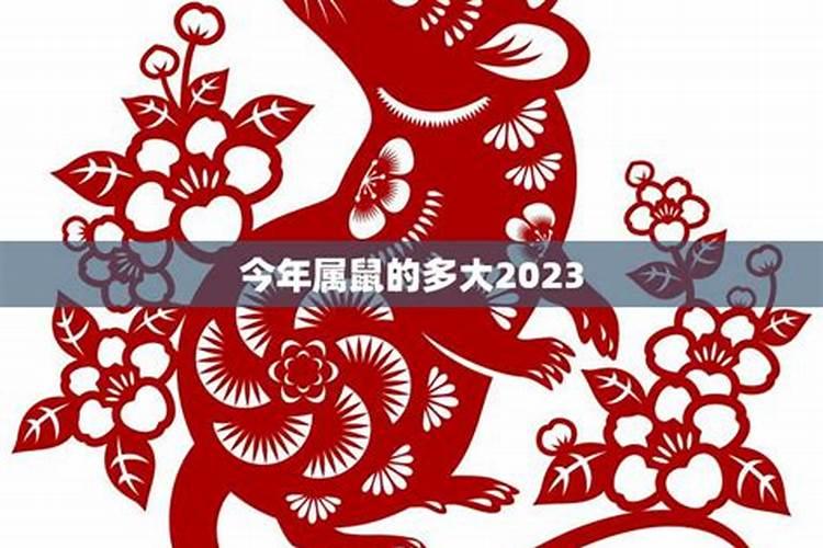 2023年属鼠的多大年龄